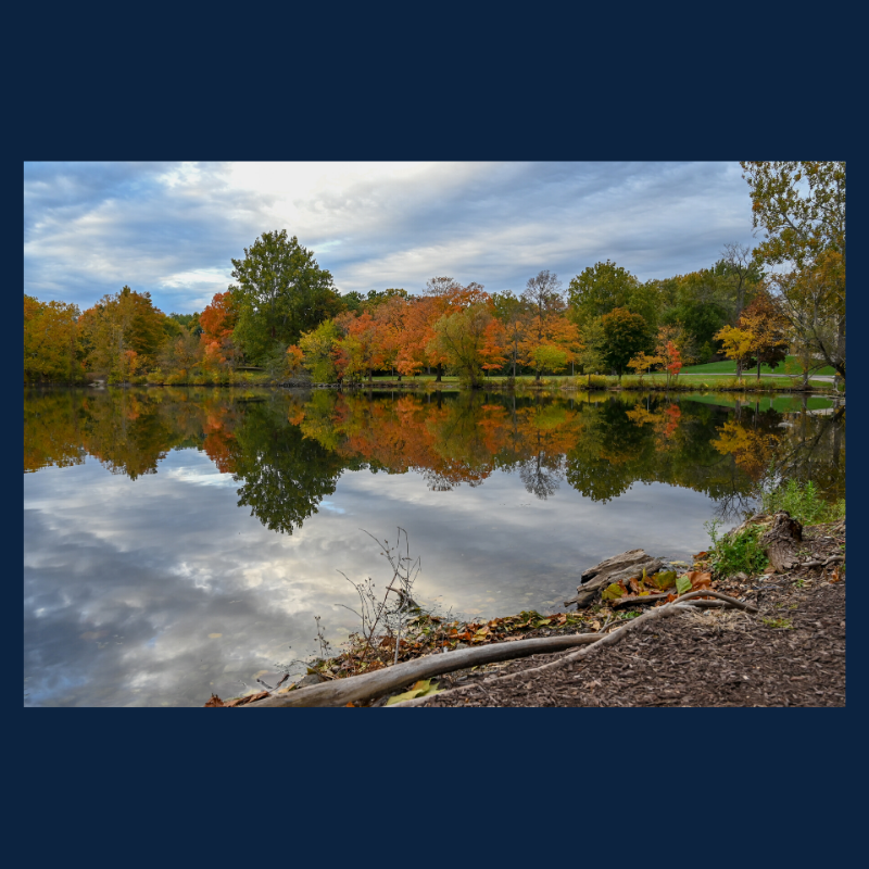 NDExecED's tweet photo. Participant in the Engineering Leadership program (2 1/2 days) @NotreDame, Matt Talbert, captured this photo last week during a campus tour. Wow! To learn about the next offering, March 31 - April 2, 2020: https://t.co/Q9Dp5jJgqb #NDExecEd #engineeringleadership #leadership https://t.co/jCkY4NcAPh