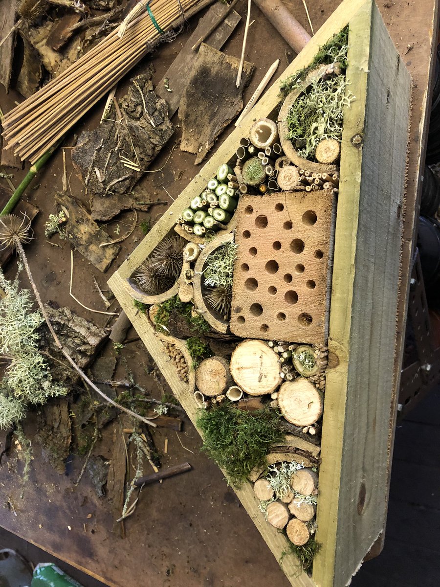 CBridgwaterRees's tweet photo. Beavering away making #bugboxes @LionmouthCIC https://t.co/vtW2Spt9Of