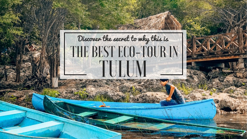 Discover the secret to the best Eco Tour in Tulum. everthewanderer.com/2019/10/30/tul…
