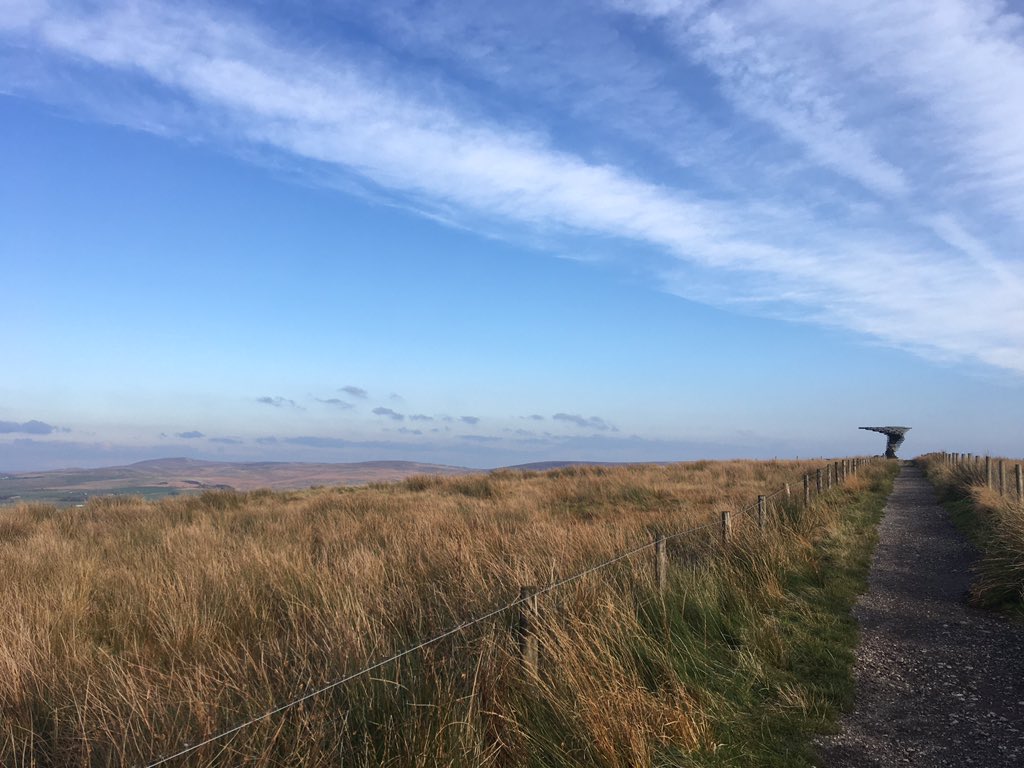 goodman_ang's tweet image. #singingringingtree #panopticon