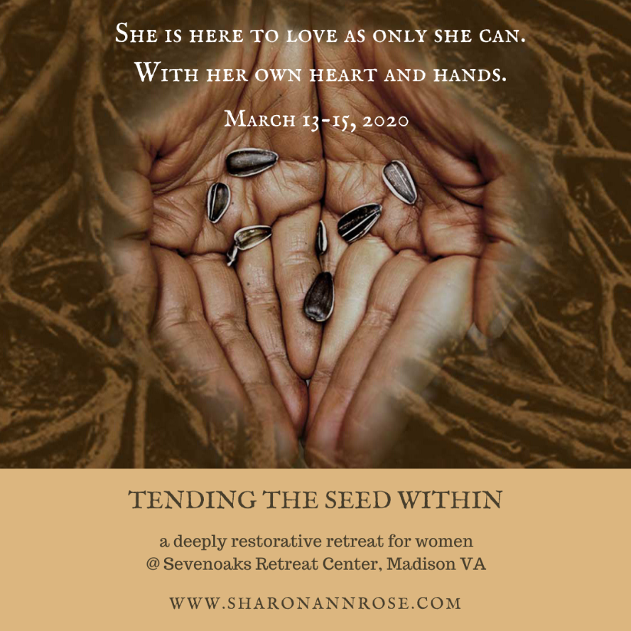SharonAnnRose's tweet photo. Join us in Virginia! - https://t.co/SX4Yb5heEo https://t.co/yaSOZ74szB