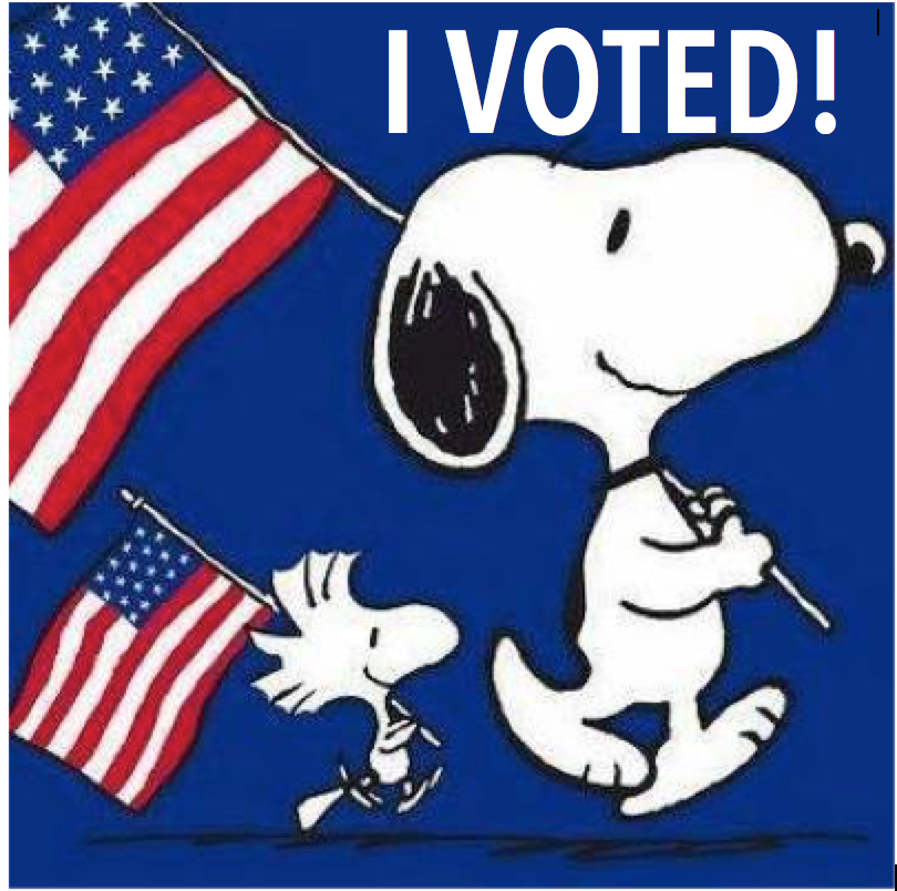 RCBOElections's tweet photo. Did you? Early Voting today 12PM - 8PM. https://t.co/yOOg9uwLo5 for more details. #vote #voterockland #rockland #EarlyVoting #EarlyVotingNY https://t.co/QX7TposbhO