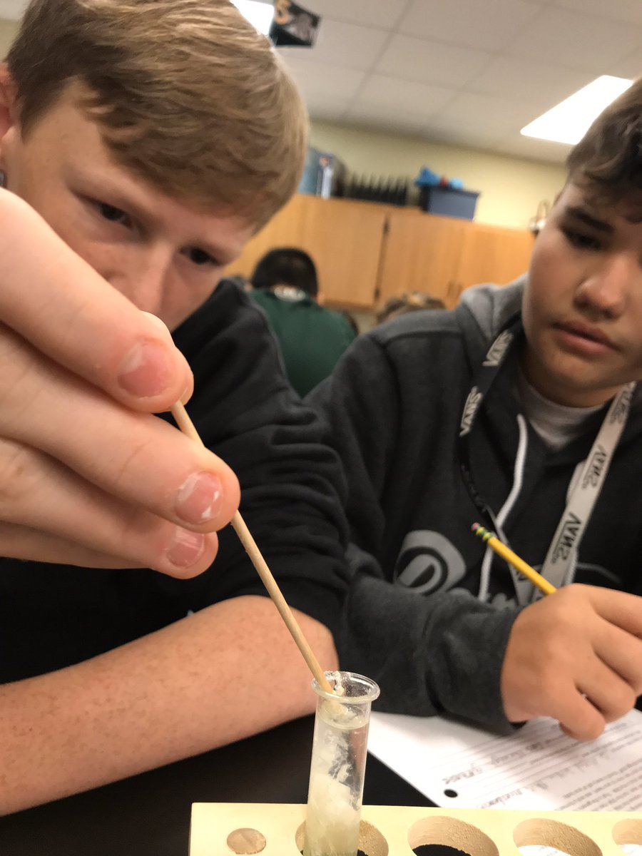 Extracting DNA from a pea. Scientists at work in room 202 <a href="/DavissonDustin/">Dustin Davisson</a> @ComalSecondary <a href="/jonny2jacob1/">Steve Foster</a> <a href="/Supt_comalisd/">Andrew</a>
