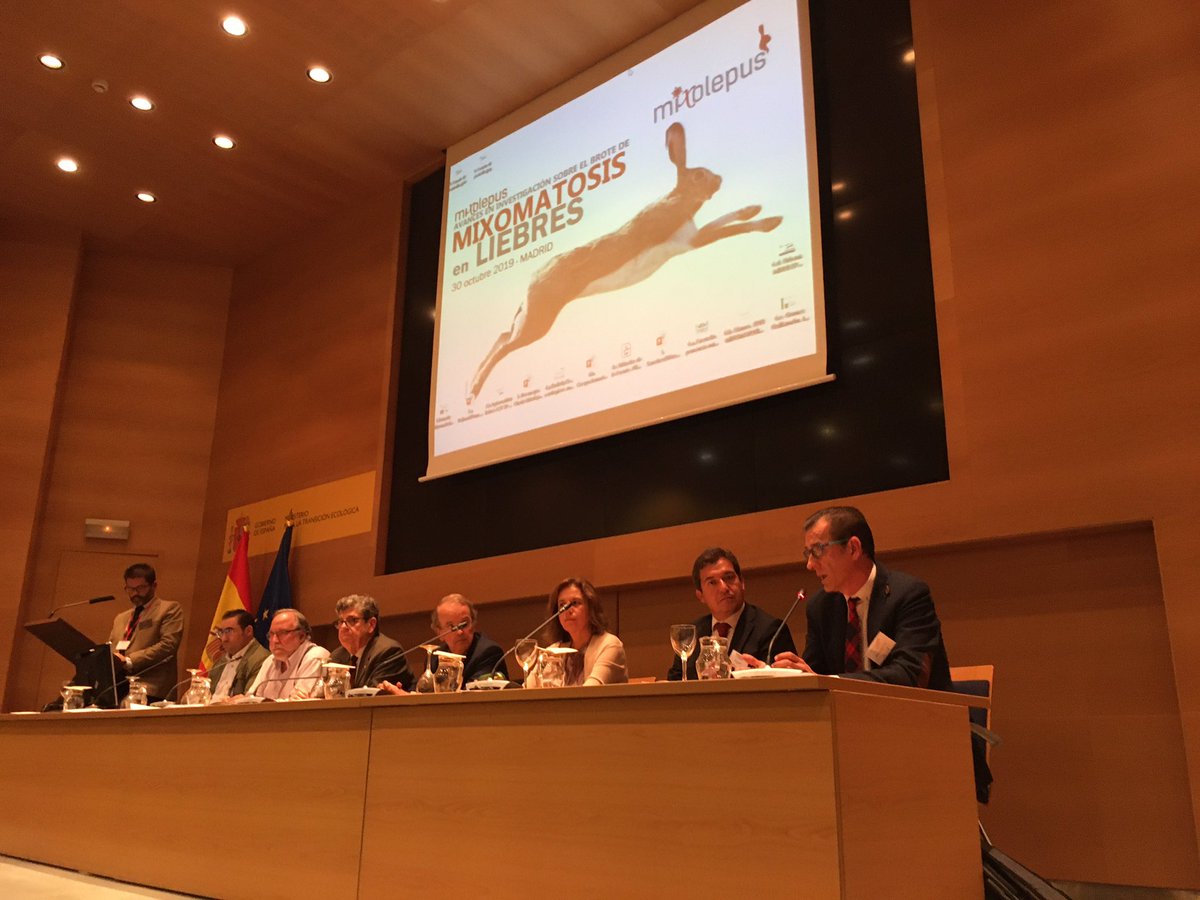 f_artemisan's tweet photo. 🐇 Ya están en marcha las jornadas de MIXOlepus para actualizar el estado de las investigaciones sobre el brote de mixomatosis en las liebres https://t.co/nkvwzKsHNx