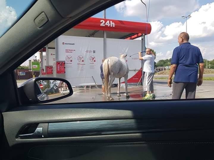 Bodor László tweet media