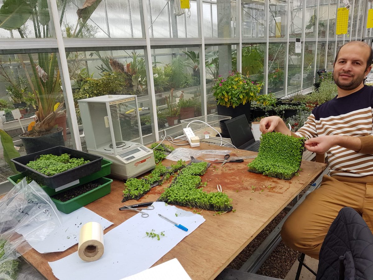 Our Industrial Researchers show off some magnificent Microgreen grown in the Plant Factory!  Click the link:
bit.ly/330DFru