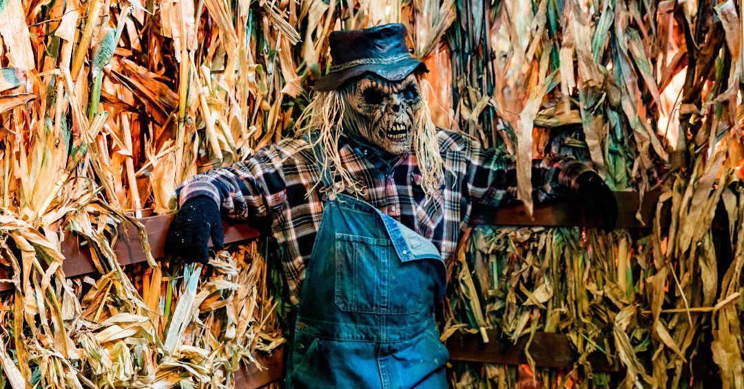 Oak Island Creative tweet media