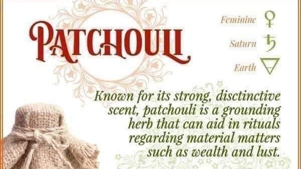PlantCreations's tweet photo. #patchouli #herbs #Healing https://t.co/DVhFcb4nW1