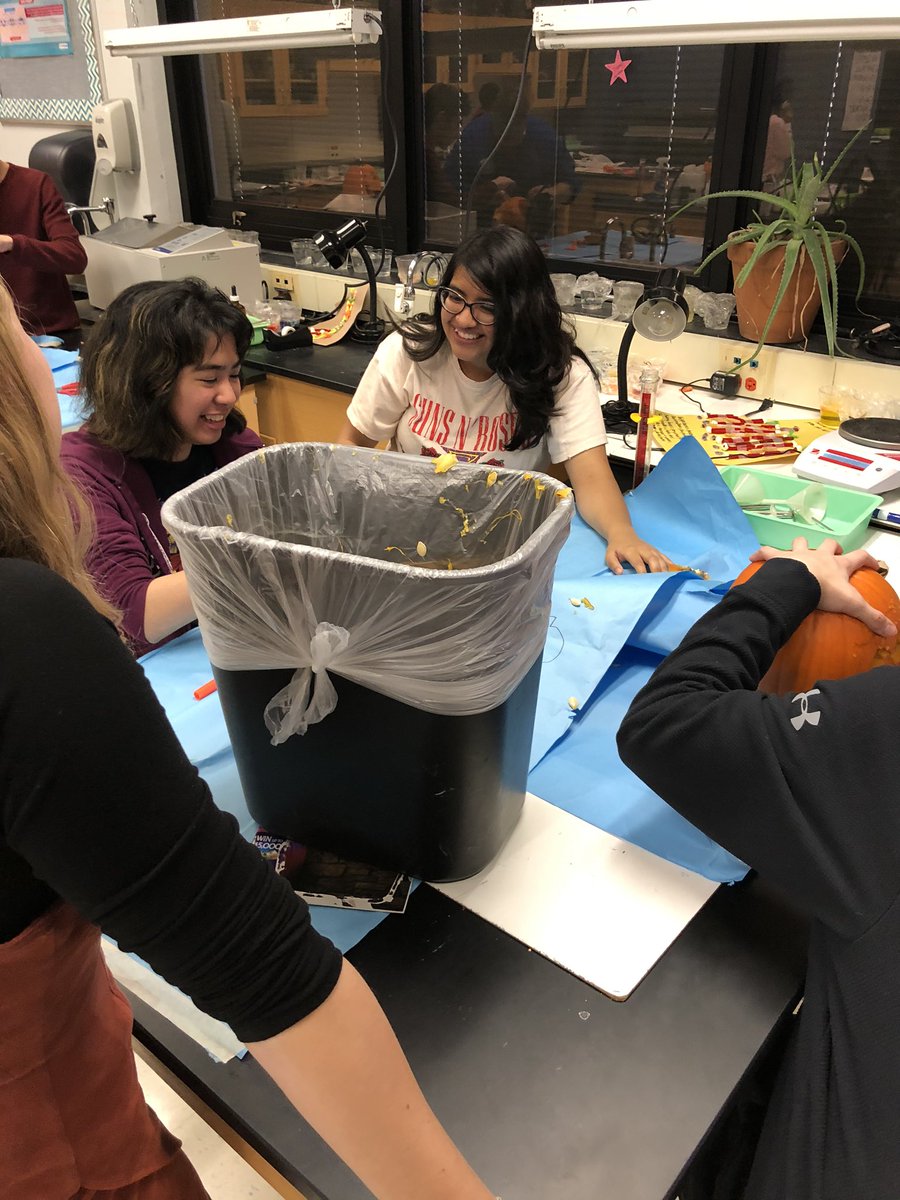 Pumpkin carving any body?  Fun to connect with students outside of the classroom!  Some of these pumpkins are so creative!