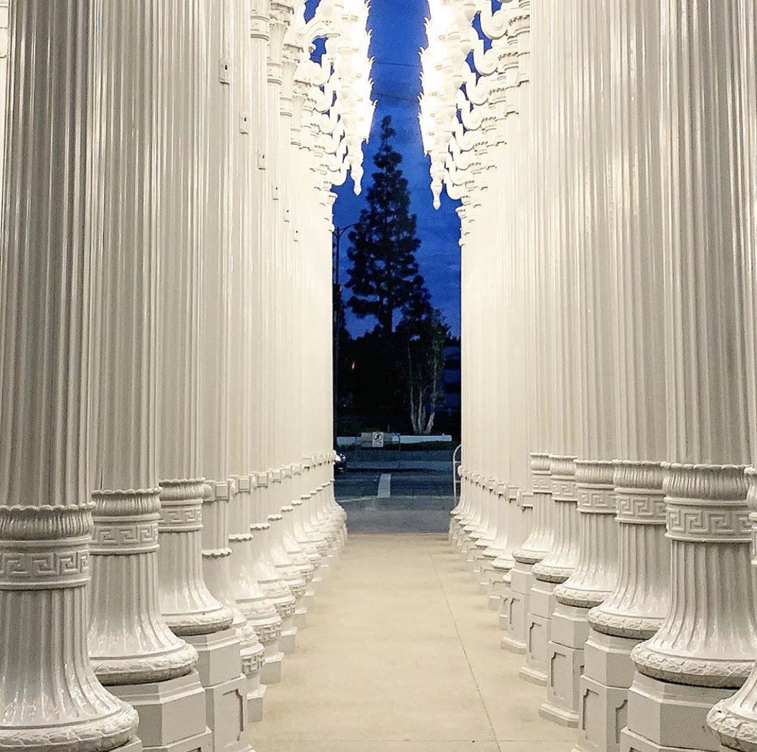 kasgraphics's tweet image. #la#lacma