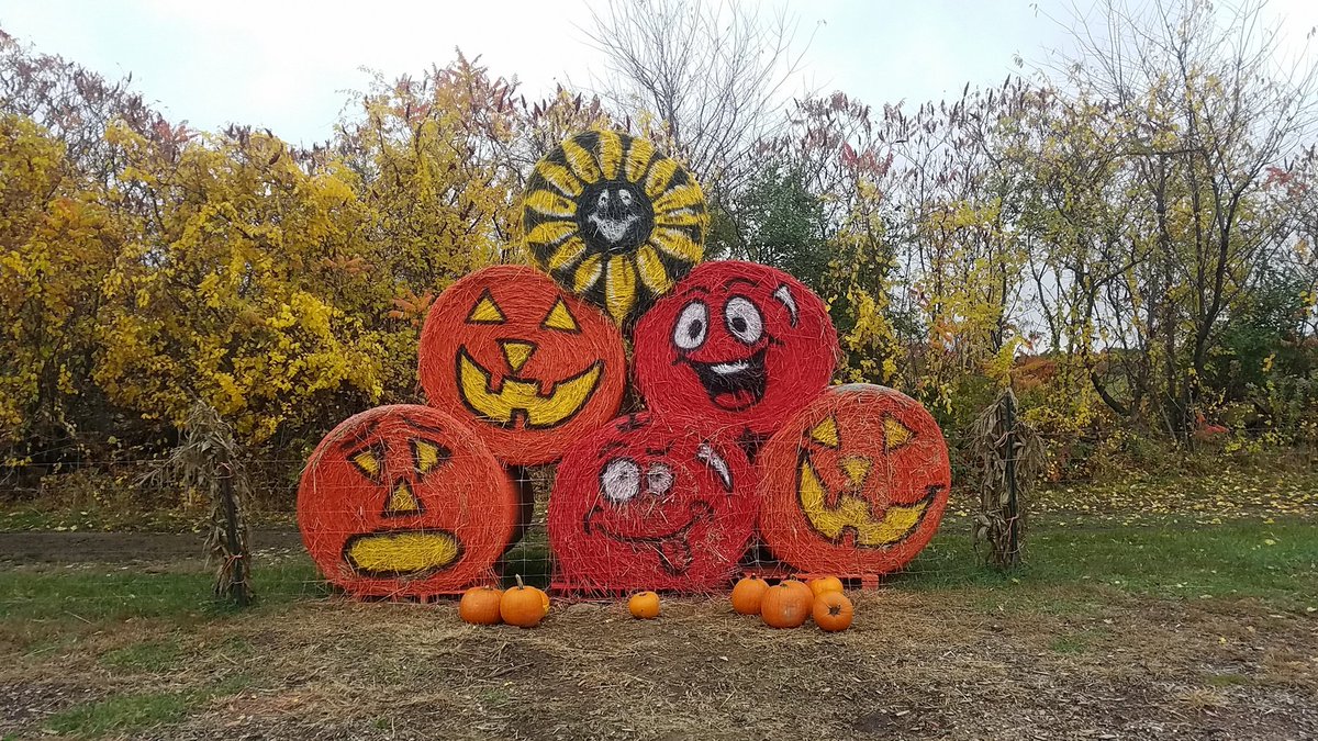 Fall goes to quickly. Best time of year.