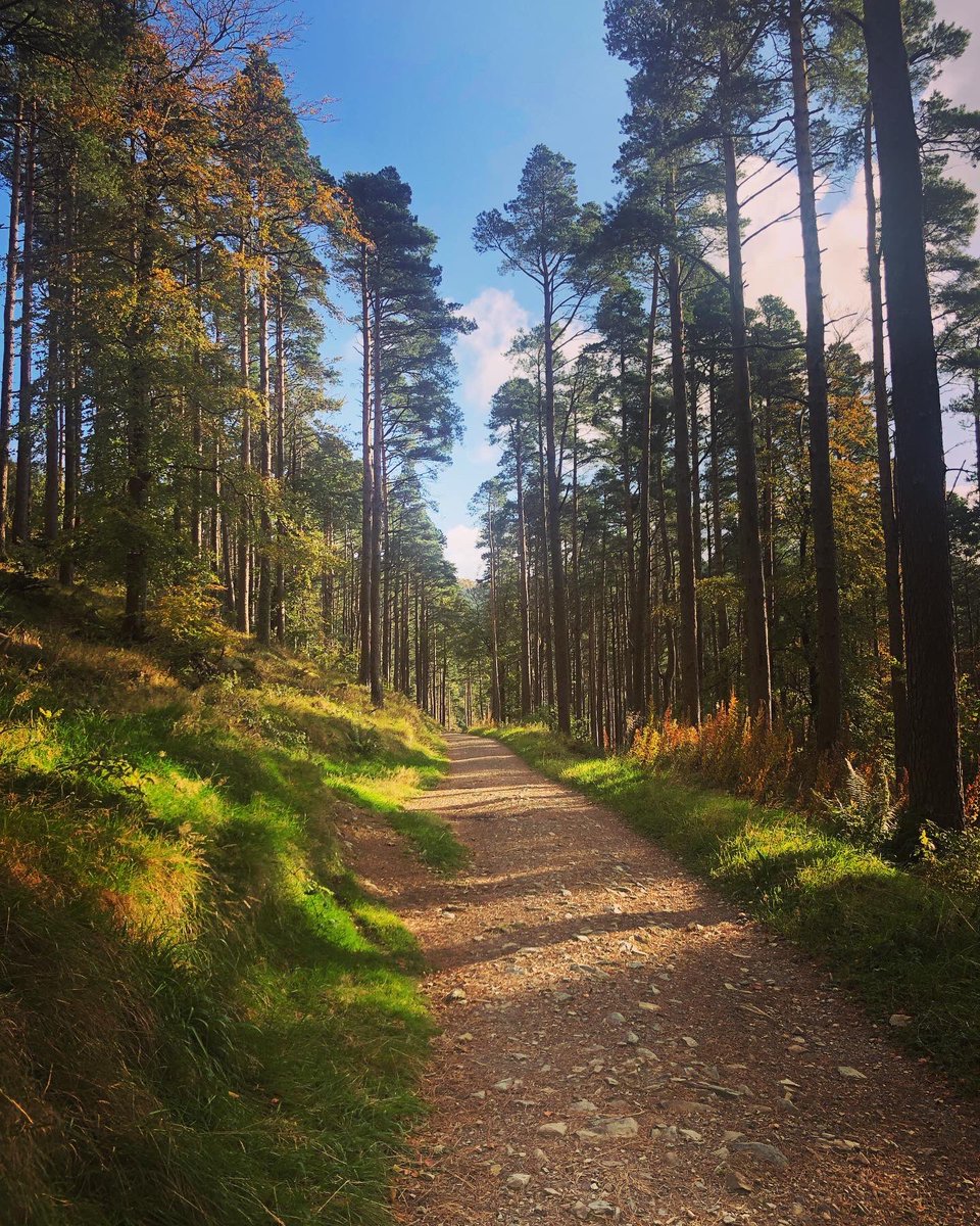 kimscott92's tweet photo. Autumnal annual leave at home 🍁💚 https://t.co/BaYIWv86W8