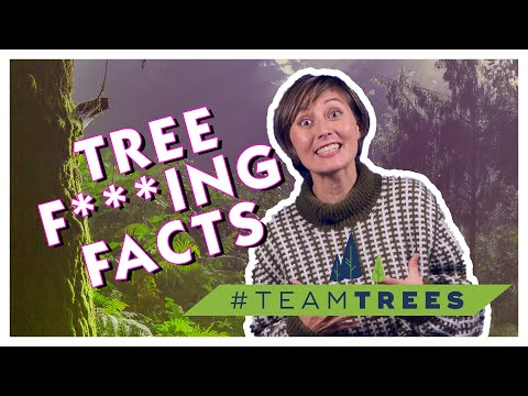elleteedee's tweet image. Let's plant millions of trees!!
NEW VIDEO of TREE SEX FACTS for #teamtrees
You can participate too by commenting, donating, making your own video, and retweeting this:
youtube.com/watch?v=j2ULYr…
I will "plant a tree" (donate $1) for every 10 retweets.