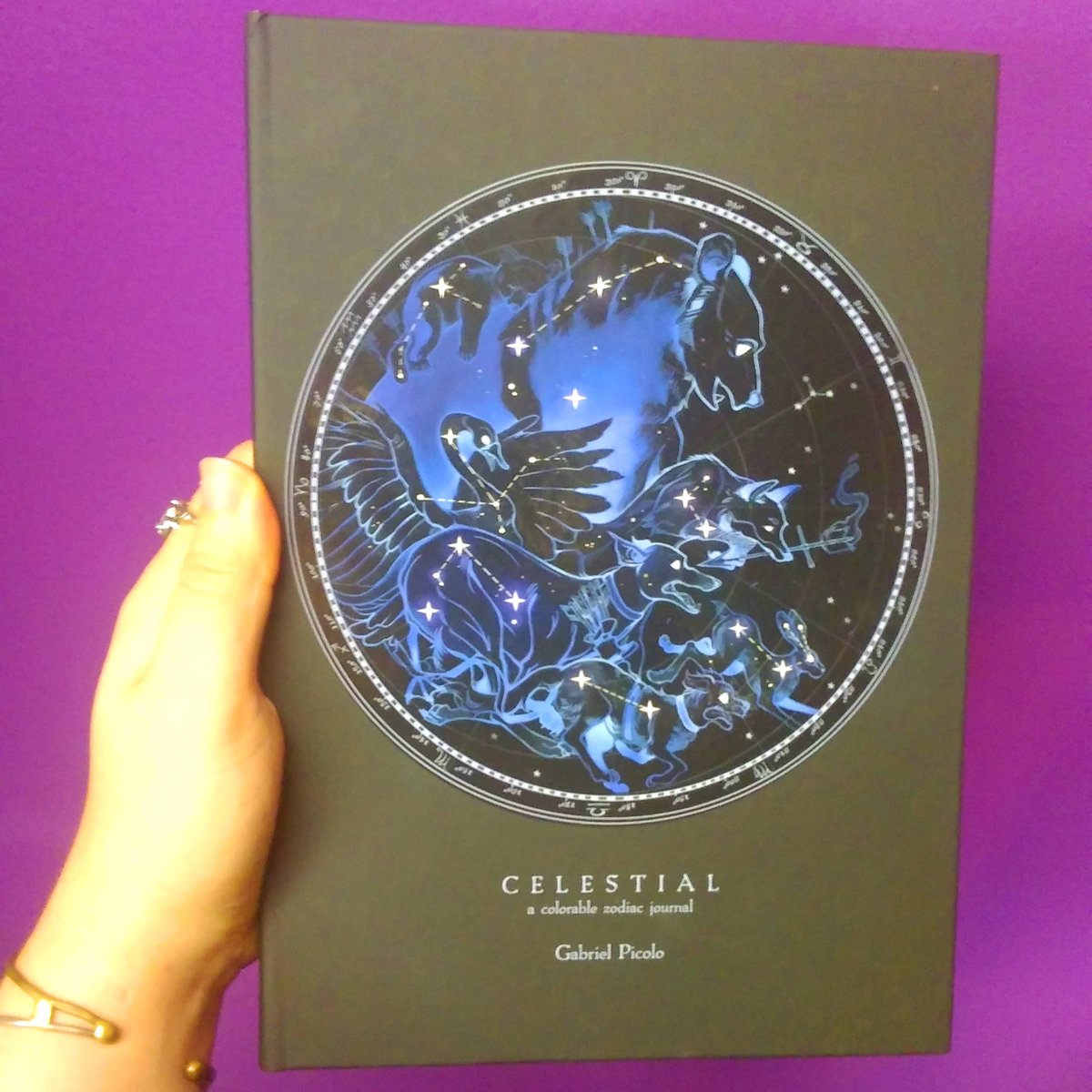 DelightsCosmic's tweet photo. The sale on Crystal Skulls &amp; Journals ends today at 7pm! There's still time to get on down to #CosmicDelights &amp; nab one of these pretties for your very own!

#cosmicdelightsmadison #shoplocal #shopmadison #journal #journaling #diary #bookofshadows #skull #crystal #crystalskull https://t.co/bBotIQVjoB