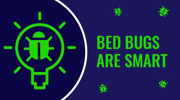 BedBugInjuryLaw's tweet image. #Bedbugs are smarter than they&apos;re given credit for! They evade discovery by hiding during the day so that they can have open access to their next victim during the night.
#bedbugfacts #bedbugtips