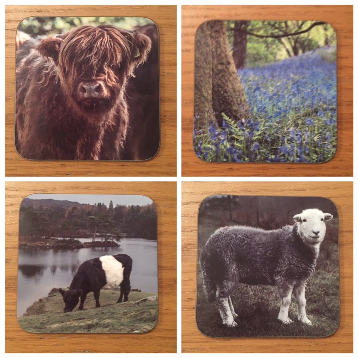 Louise Thompson tweet media