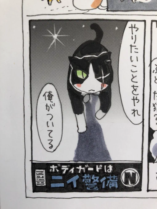 おはようございます

(小声)
もうとっくに出来ていなければならない、夜廻り猫第6巻用かきおろし　約100枚ですが、、
明日16時までには間に合わず、、
一部、週明けまで待っていただくことになりました、、
迷惑をおかけする皆様
申… 