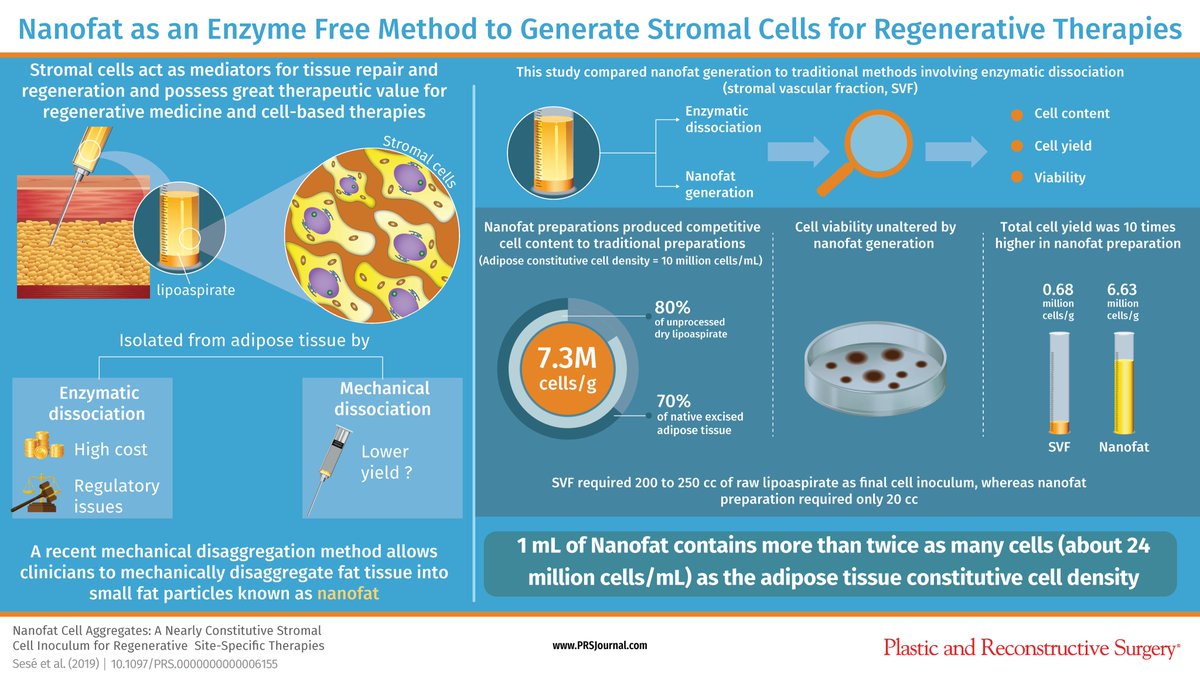 Plastic And Reconstructive Surgery Can Nanofat Be Used As An Enzyme Free Method To Generate Stromal Cells Which Possess Great Therapeutic Value For Regenerativemedicine Read This New Prsjournal Experimental To Find Plastic And Reconstructive Surgery Can Nanofat Be Used As An Enzyme Free Method To Generate Stromal Cells Which Possess Great Therapeutic Value For Regenerativemedicine Read This New Prsjournal Experimental To Find