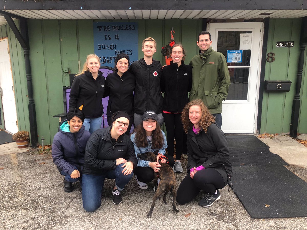 natalie second chance shelter