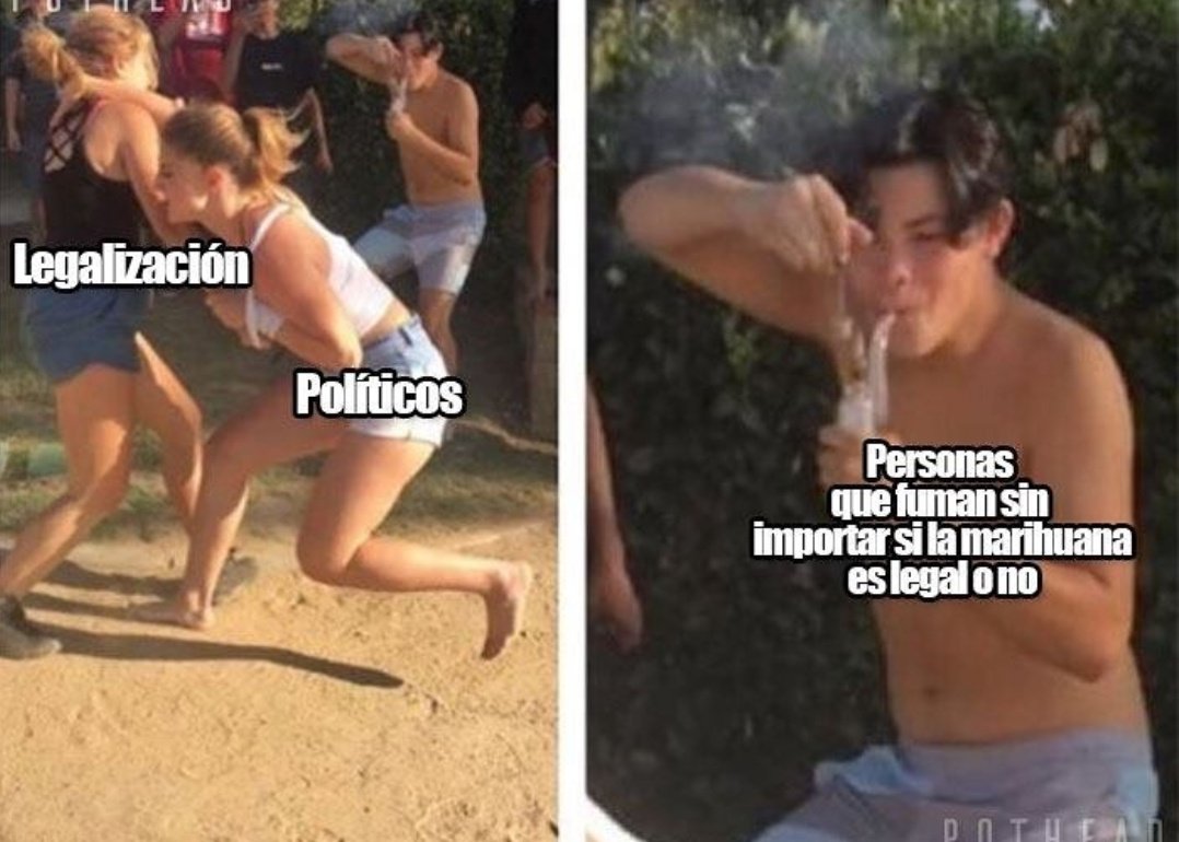 Sr.Weed (@srweedsmoker) on Twitter photo 