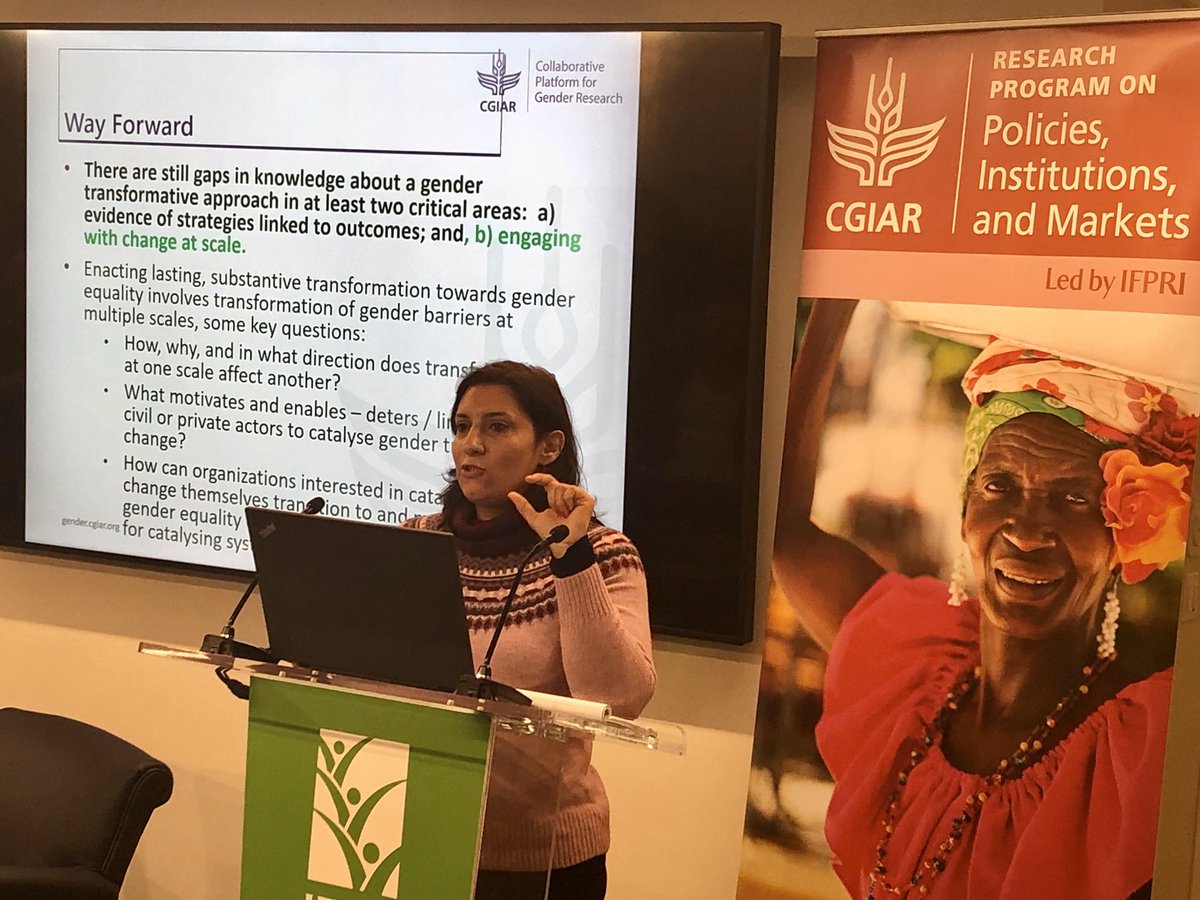 Dina Najjar <a href="/ICARDA/">ICARDA</a> on the way forward to fill in remaining knowledge gaps about the gender transformative approach.