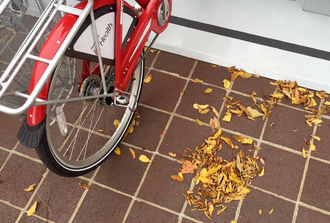 Fall is in the air! Make sure to catch a ride on a #CincyRedBike the autumn