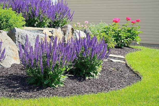 DsldLandMgmt's tweet photo. Call (205) 437-1012 for exceptional landscaping work in the Birmingham area. We can get started on local properties ASAP. https://t.co/MHSAHao3Sz https://t.co/2b0z5Qcazk