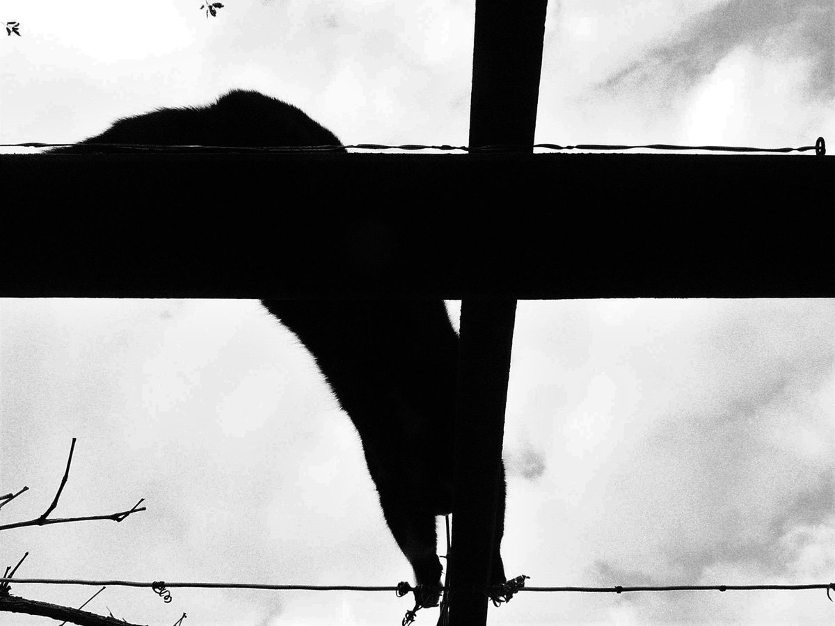 Paula & Donny (@paulaunddonny) on Twitter photo 