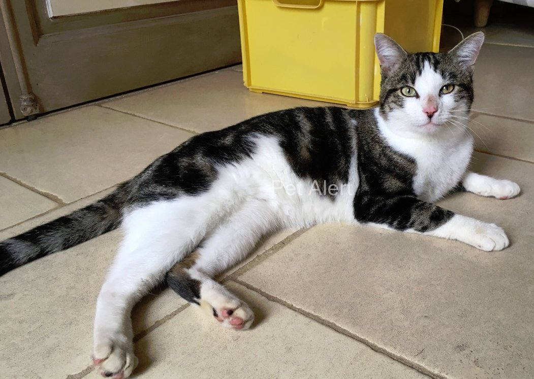 Sylvieæ At Vivi11g Twitter