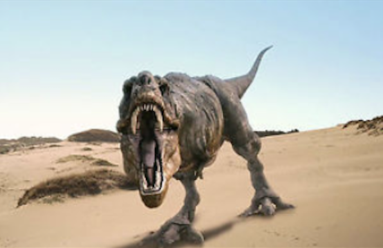 DolphinIndex's tweet photo. BRILL NEWS - THERE IS HOPE FOR DINOSAURS LIKE ME!
See: https://t.co/liDe10lvyF
We are now developing the 'Open Mind' Programme - for me!
#creativity #innovation #mindset #openmind #openthinking #confirmatorybias #error #mistake #failure #dolphinindex
#problemsolving https://t.co/IRWjRkbZNK