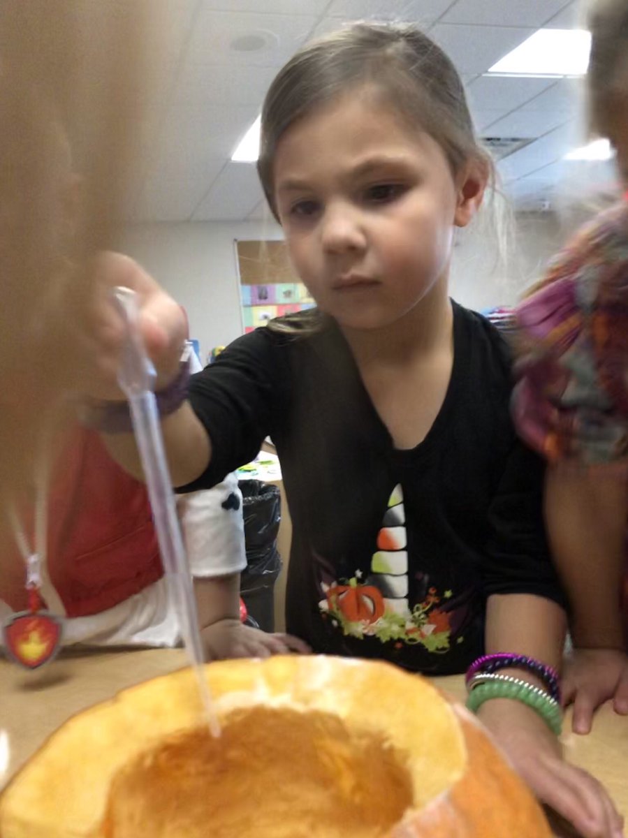 Pumpkin experiments at the ECC 🎃🥽☺️