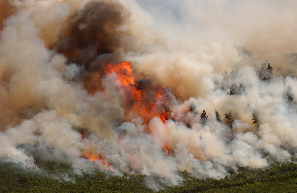 Picture of smoke plume coming from a wildfire
