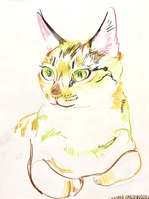 「green eyes whiskers」 illustration images(Oldest)