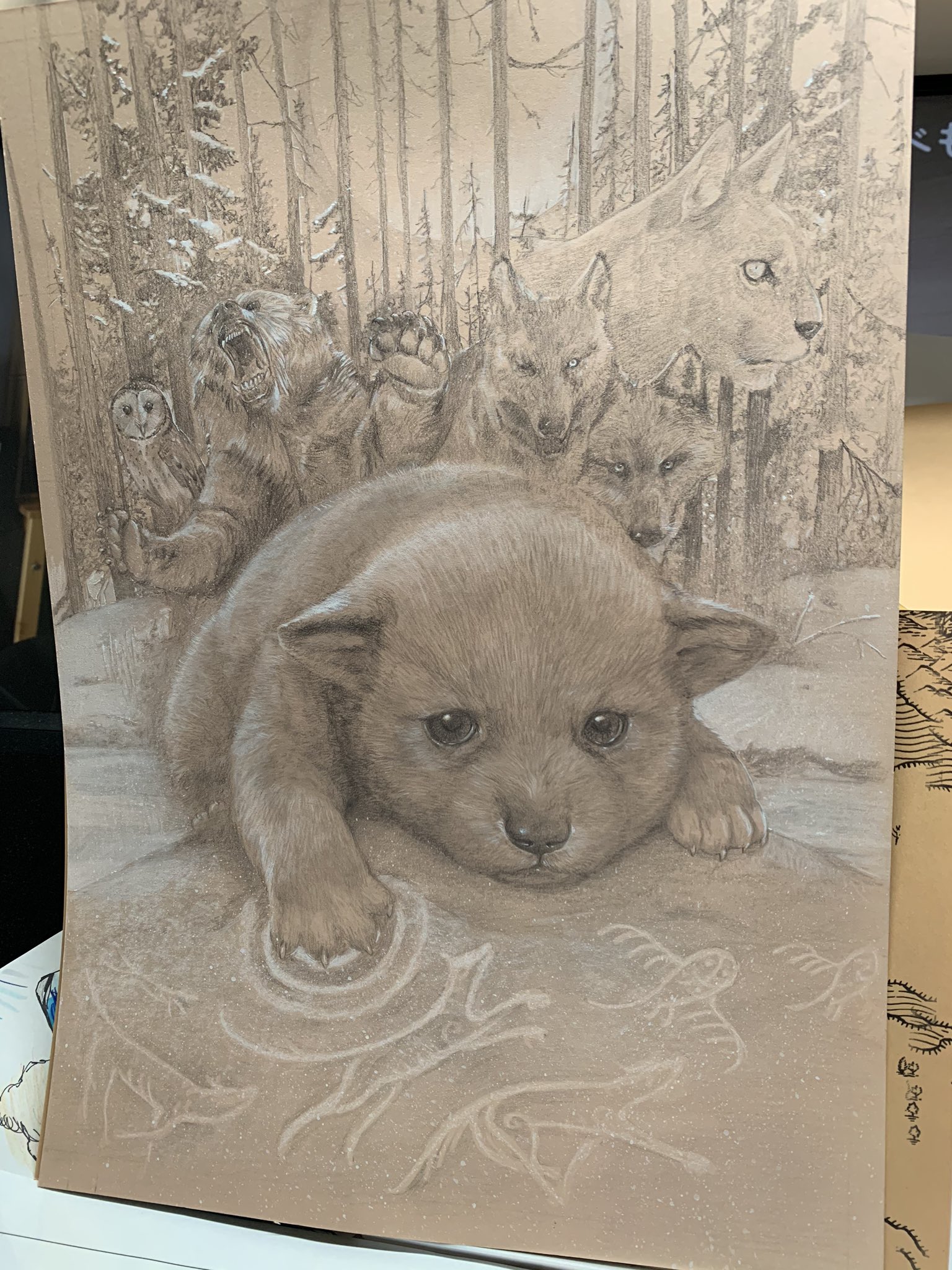 有田 満弘 イラストレーター ファオランの冒険 １巻カバー鉛筆画と完成 ガフールの勇者たち のスピンオフで オオカミたちがメインキャラクターのシリーズ 産まれてすぐのオオカミはオオカミに見えないので 描き方にとても苦労した のちに講演先で