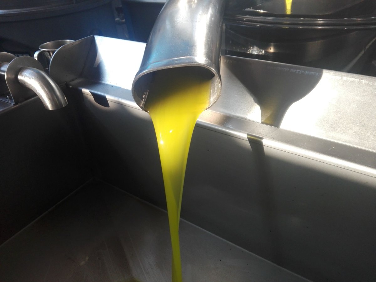 Our new harvest olive oil is here to provide you and your loved ones with high-quality nutrition and luscious sensory experiences!

See how we make it:
tinyurl.com/y2668kdu

#harvesting2019  #fresholiveoil #evoo  #organicoliveoil #extravirginoliveoil #organicfarming #oliveoil