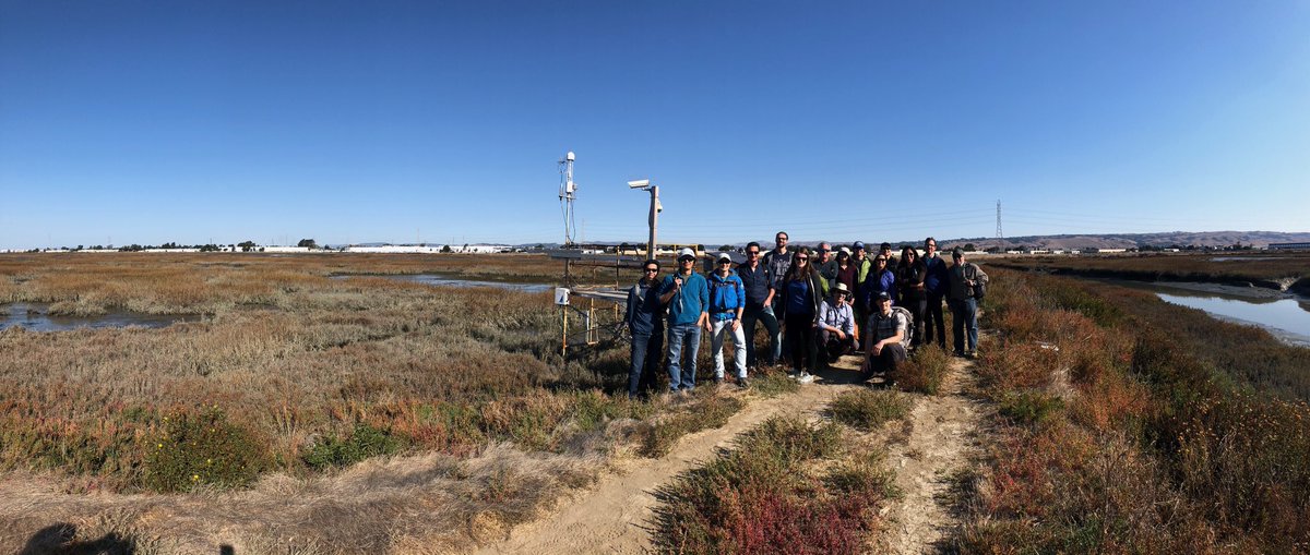 Marilyn Saarni tweet media