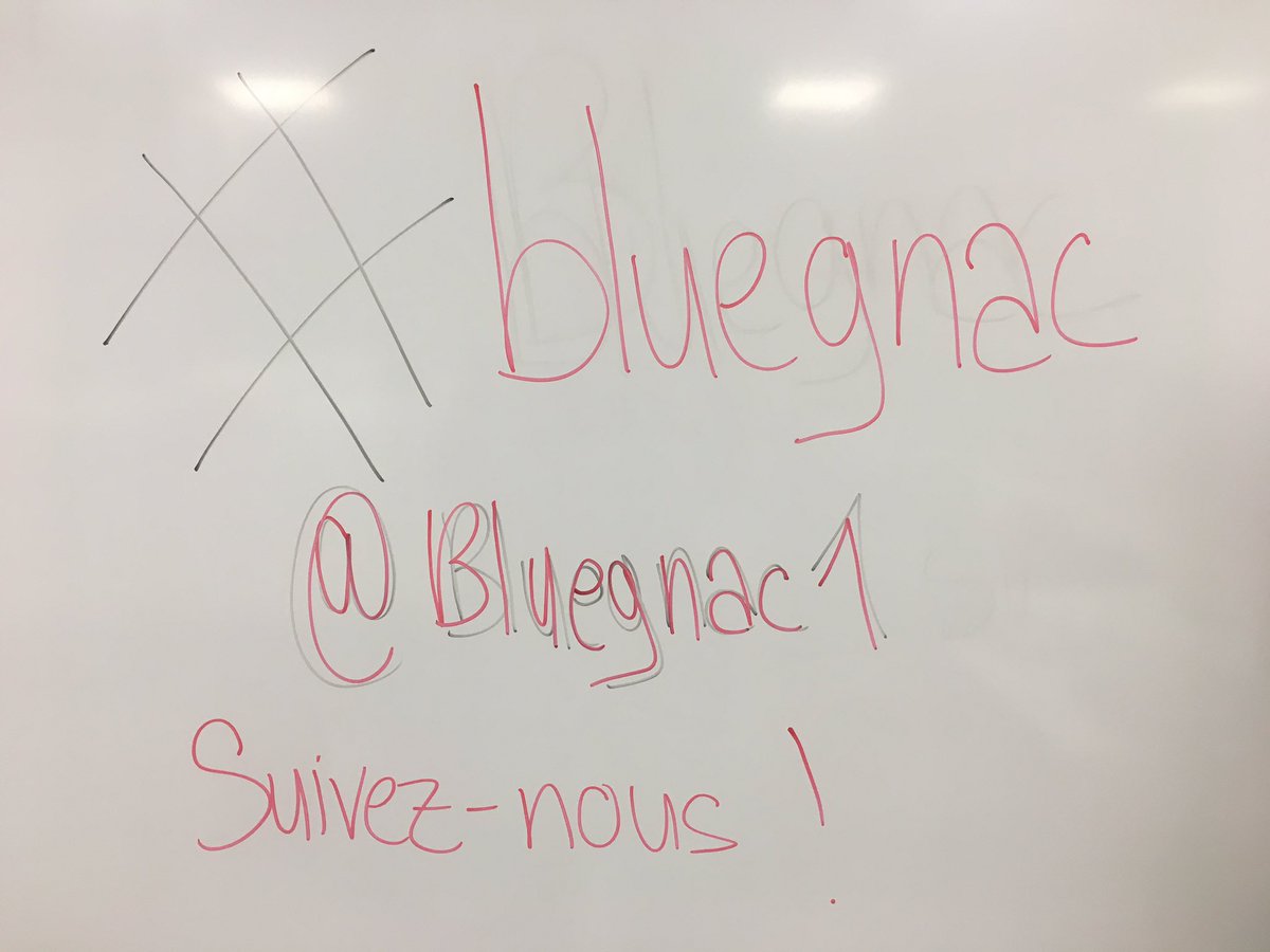 sheisbach's tweet photo. Suivez nous sur @Bluegnac1 ! 
#bluegnac #lerirebleu https://t.co/9BmapXXqEr