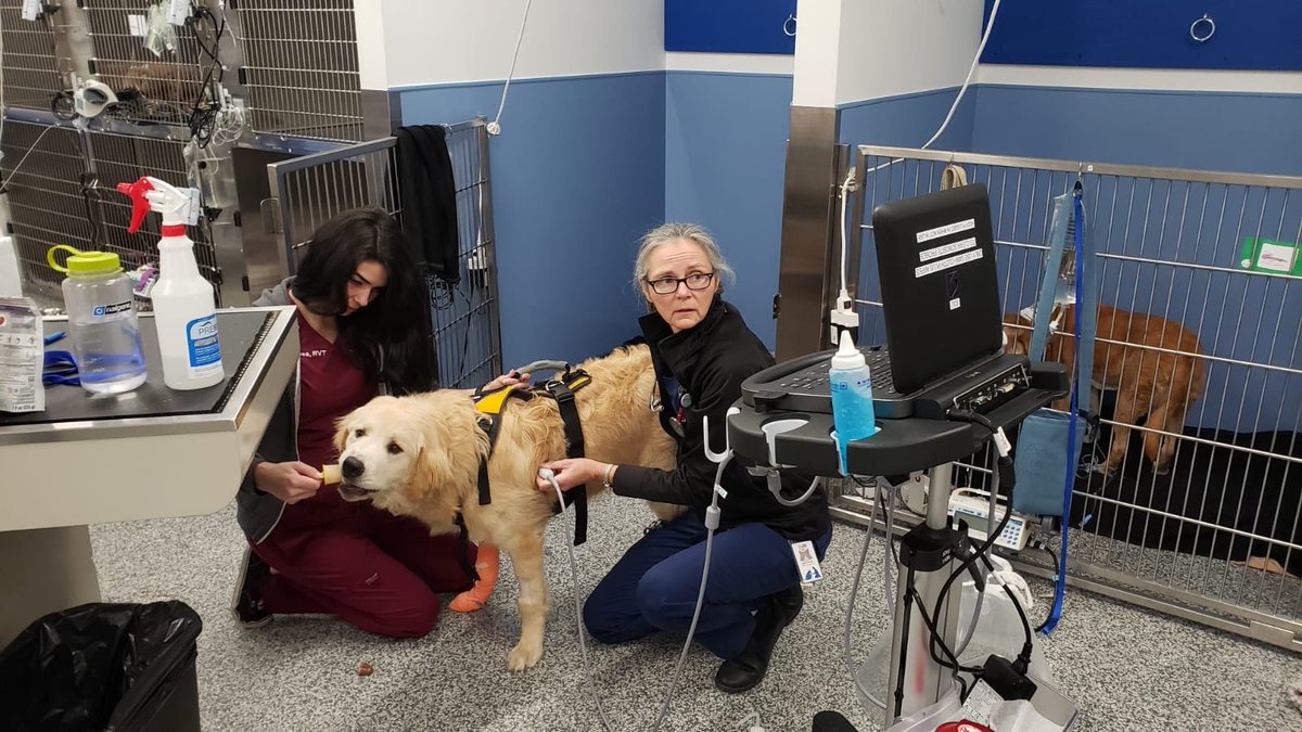 Susan Hay tweet media