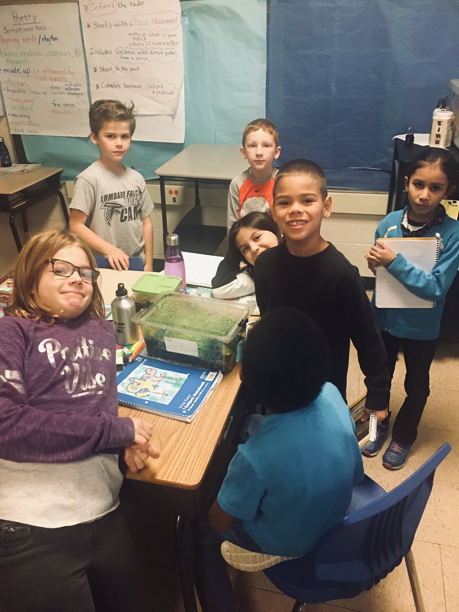 MrLantvit405's tweet photo. Feeding our anoles, with our 1st grade buddies! #WeAre44 #Madison44 https://t.co/iRuYGgyOPU