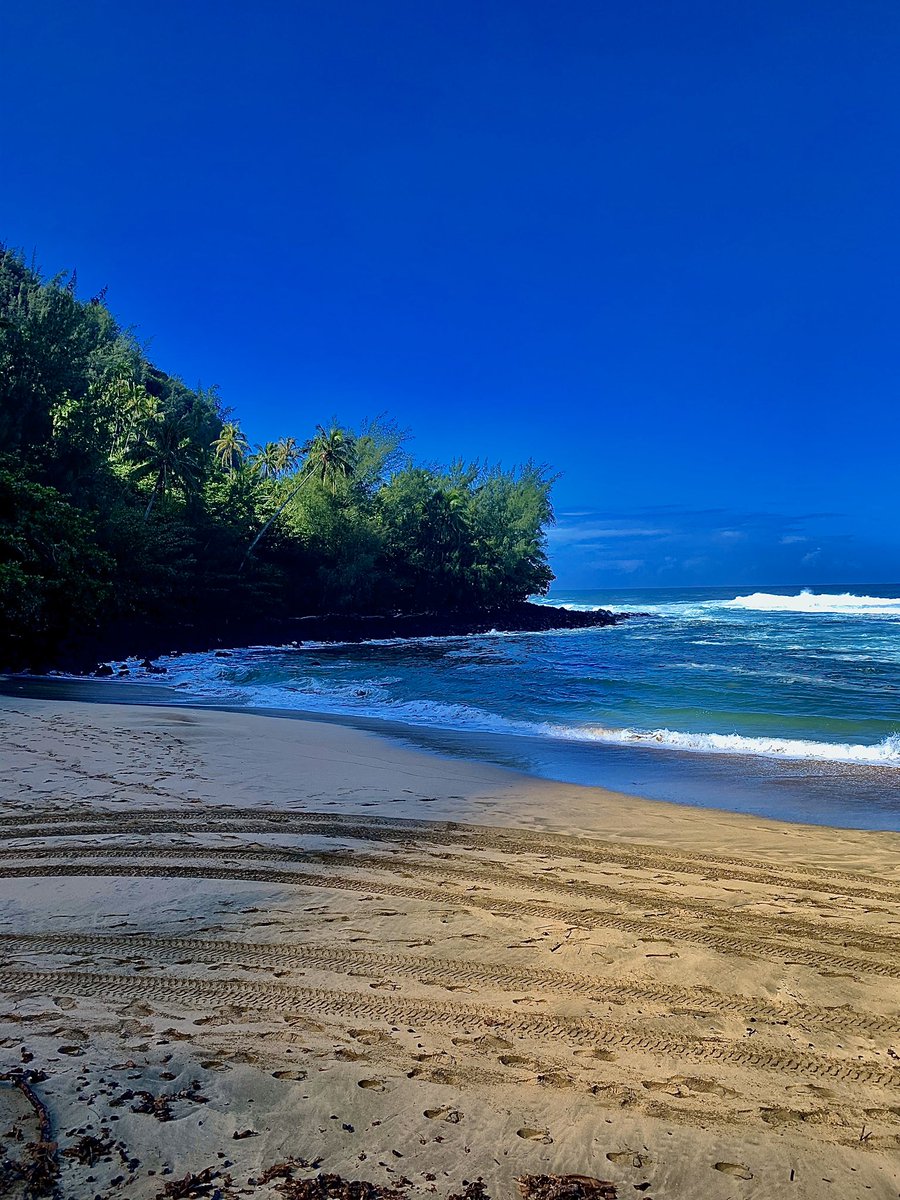 AltTravelBlog's tweet image. “Oi kau ka lau, E hana I ola Honua.” — Live your life while the sun is still shining.