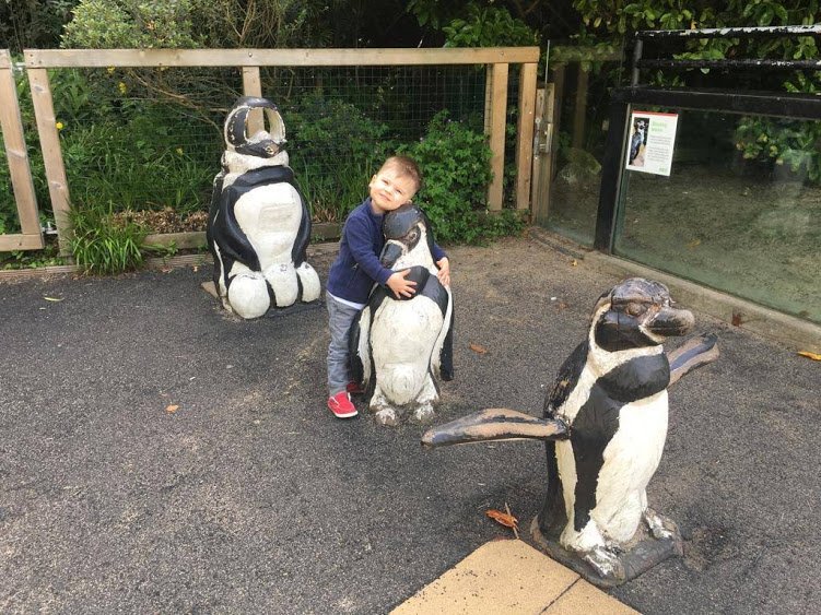 InfiniteIreland's tweet image. Celebrating Halloween this year with this little man who loved making friends at the @DublinZoo  #PucaFestival #HomeofHalloween #LoveIreland