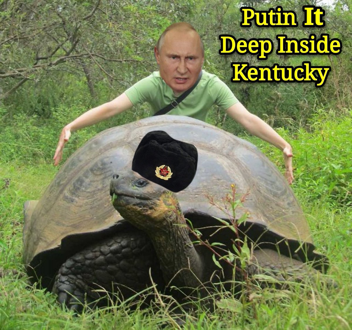 margie_hathaway's tweet image. Good grief... He has zero insight into his own raunchy, corrupt bullshit. 

@senatemajldr will say and do anything to promote the #GOP - it has always been party above all else to him. 

#MoscowMitchTraitor #mitchmustgo #MoscowMitch 
#ImpeachAndRemove