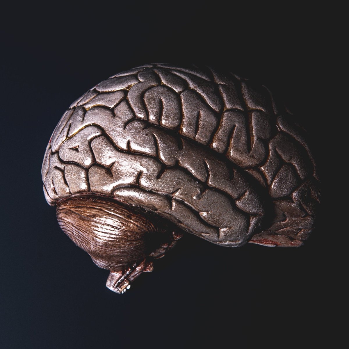 Near-infrared light to revitalize aging brains?

news.azpm.org/p/news-article…

#aslongasitdoesnothurt #study #aging #brain #NIA #1.8M