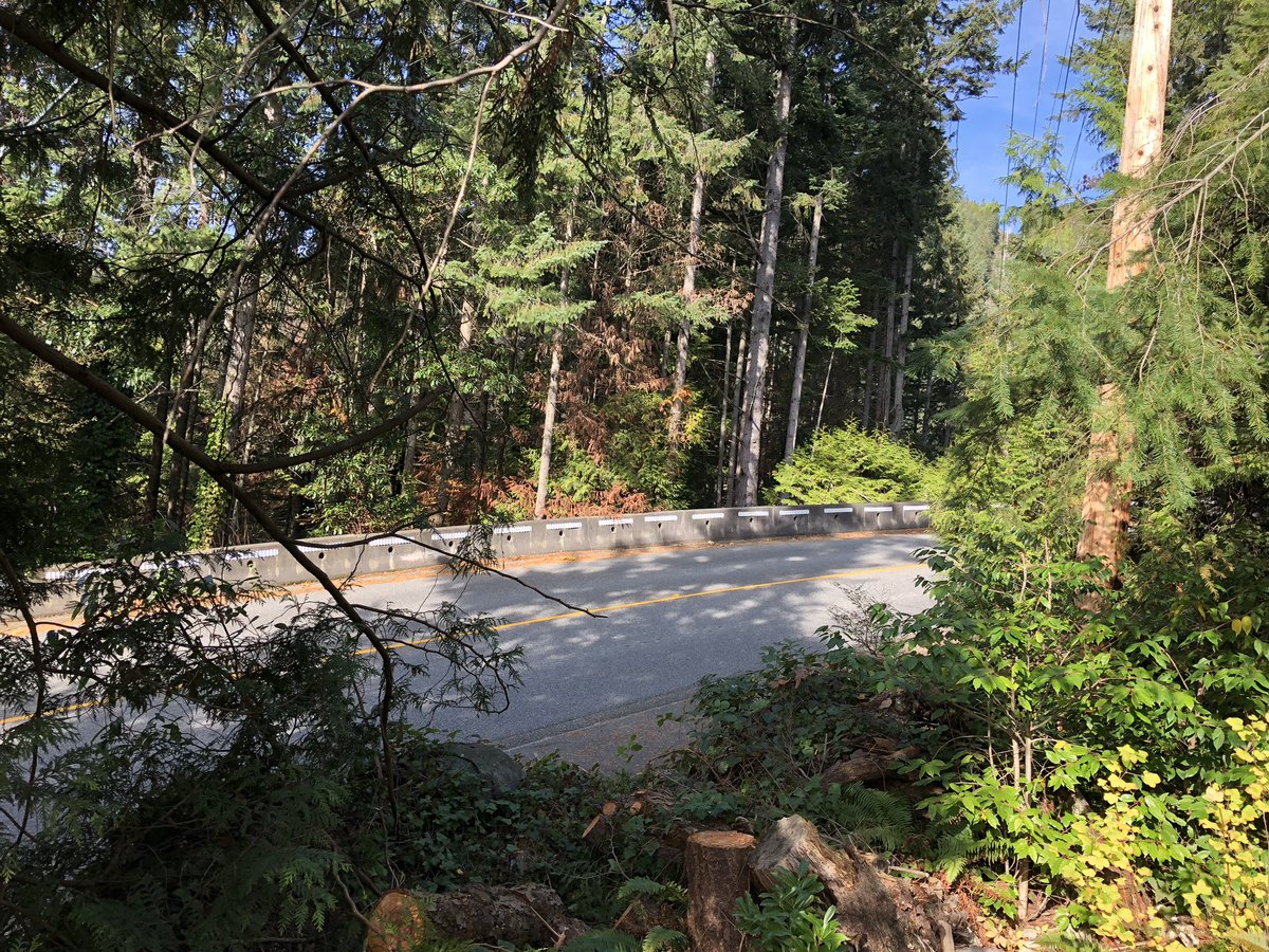 ldarholmes1's tweet photo. @bchydro clear cut our property, 44 downed trees in 2014!!  @CUrquhartGlobal and @CTVVancouver covered this story @bchydro said the policy change would include proper customer consultation!!  Home after 3 weeks vacation to discover 3 trees down gapping hole mess of wood left!!! https://t.co/XE3UirjTDY