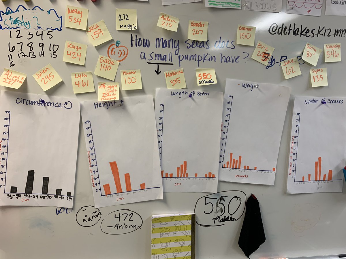 Bahr4th's tweet photo. We sorted through ALL of our pumpkin data! How many seeds does a small pumpkin have?! 296! 🎃 Fun &amp; festive! #settingtheBahr #DLschools #dataanalysis #pumpkinmania #KidsDeserveIt https://t.co/6QPxMZ3kGJ