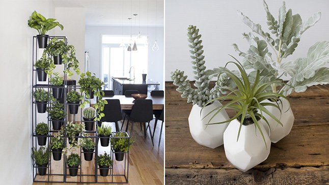 11 trouvailles d'automne pour votre décor : 
casatv.ca/publications/l…