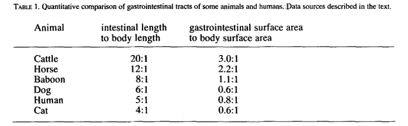 Même chose pour la longueur relative des intestins, qui nous place entre le chien et le chat. Ou la surface d'absorption, qui ne nous place pas très loin d'eux...