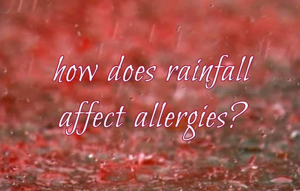 FamilyAllergy&Asthma on Twitter: “Rain washes pollen away, but pollen