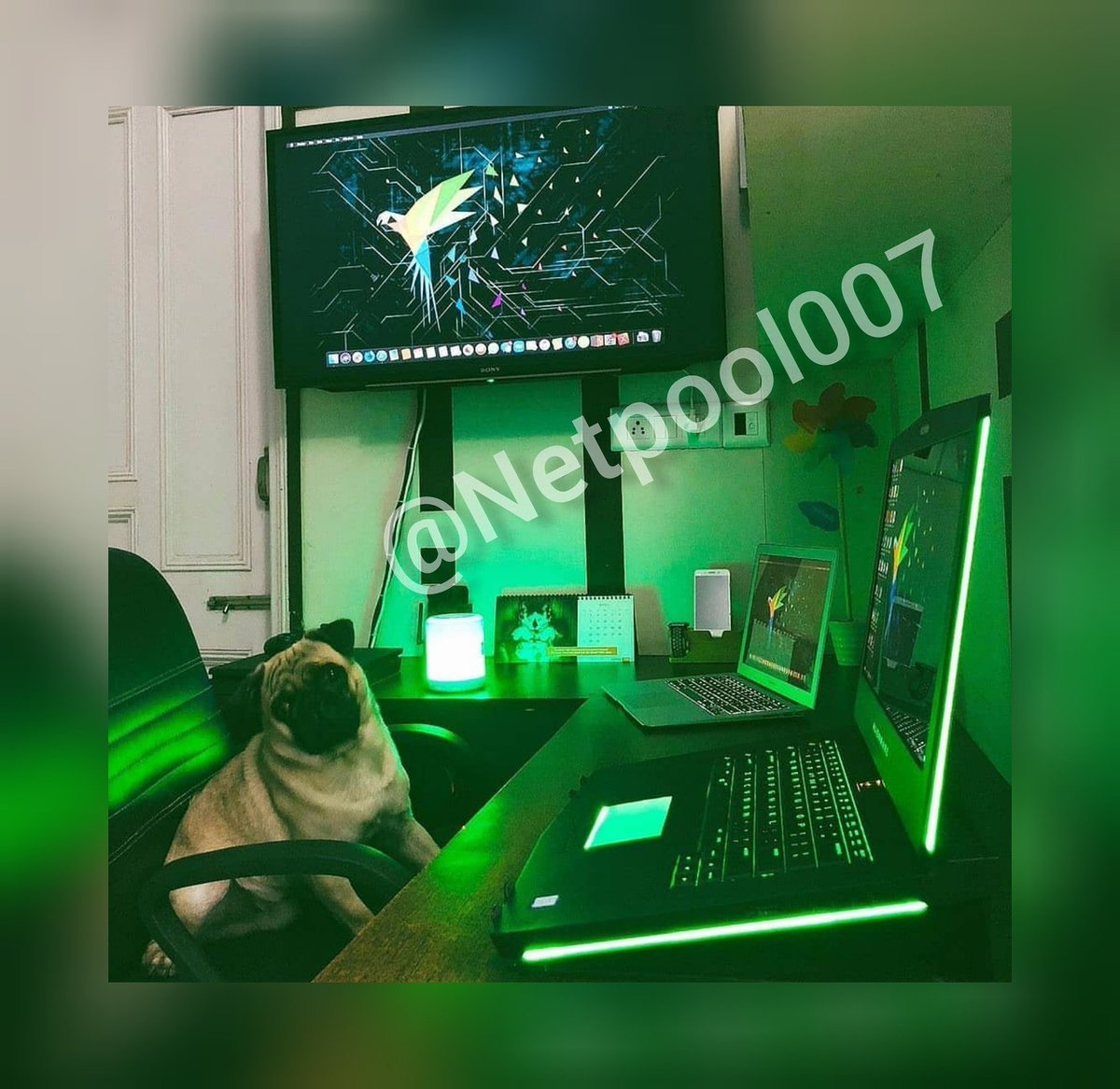 NetpoolComp's tweet image. #green #technology #visualeffectlighting #displaydevice #electronics #electronicdevice #advertising #techie #gadget  #photography #electronic #photooftheday #gadgets #screen #tech #hack #laptops #device #computers #pubg #pubgmobile #pubgpc #gamer4life #pubg_mobile #pubghighlights