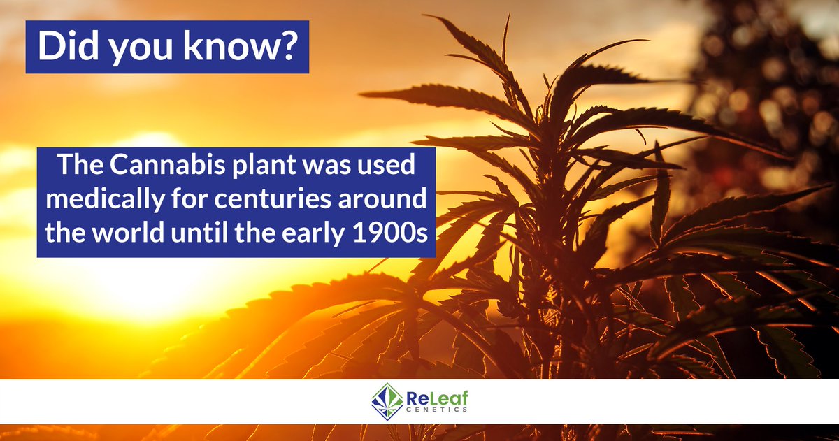 ReleafSummit's tweet photo. https://t.co/nj1DK55cAM
Did you know the Cannabis plant was used medically for centuries around the world until the early 1900s? Click the link to learn more about cannabis use.
#releafgenetics #cannabis #cannabinoids https://t.co/wkbl5Y5qpV